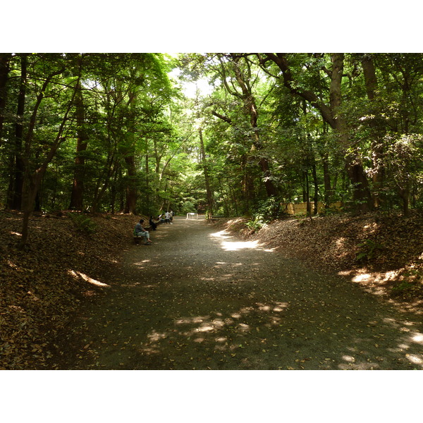 照片 日本(Japan) 东京(Tokyo) 代代木公园(Yoyogi Park) 2010-06 16