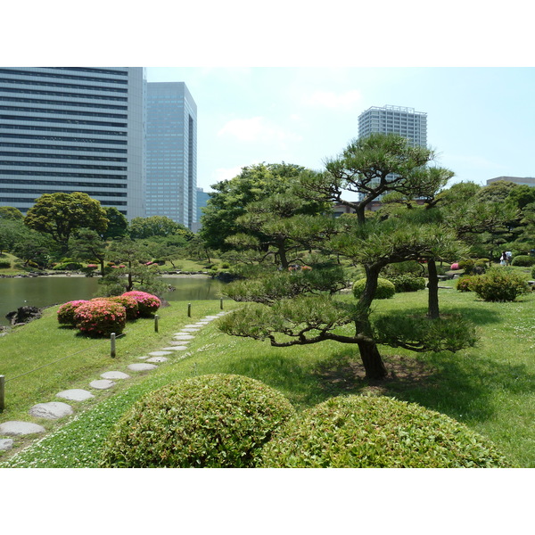 照片 日本(Japan) 东京(Tokyo) 旧芝离宫恩赐庭园(Kyu Shiba rikyu Gardens) 2010-06 11