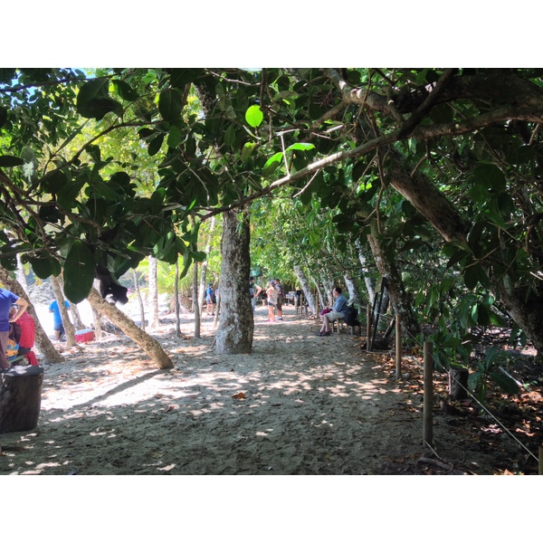 照片 哥斯达黎加(Costa Rica) 曼努埃尔安东尼奥(Manuel Antonio) 2015-03 375