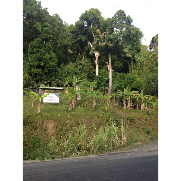 照片 哥斯达黎加(Costa Rica) 多米尼卡尔(Dominical) 2015-03 122