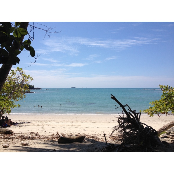 照片 哥斯达黎加(Costa Rica) 曼努埃尔安东尼奥(Manuel Antonio) 2015-03 235