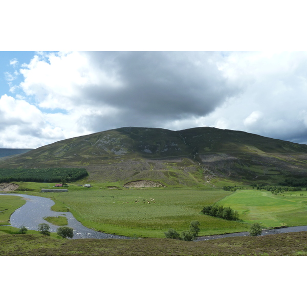 照片 英国(United Kingdom) 凯恩戈姆山国家公园(Cairngorms National Park) 2011-07 85