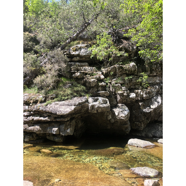 照片 法国(France) 科西嘉岛(Corsica) 艾托内森林(Aitone Forest) 2021-06 52