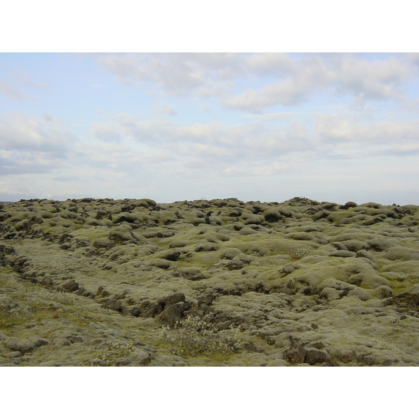 照片 冰岛(Iceland) 1号公路：杰古沙龙至维克(Road 1 Jokulsarlon to vik) 2003-06 20