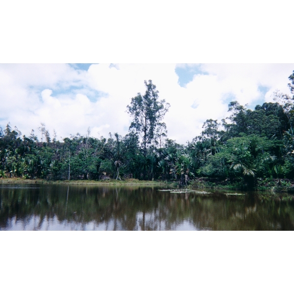 照片 马达加斯加(Madagascar) 1999-10 34