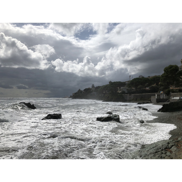 照片 法国(France) 科西嘉岛(Corsica) 圣马蒂诺-迪洛塔(San Martino di Lota) 2018-09 23