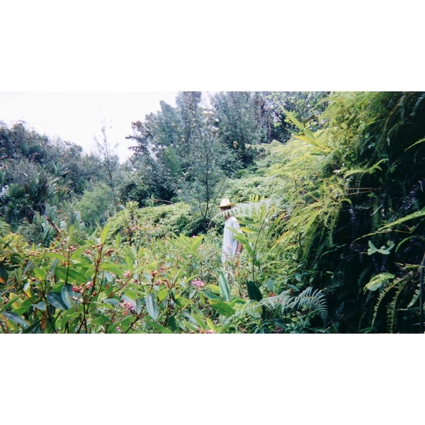 照片 马达加斯加(Madagascar) 1999-10 25