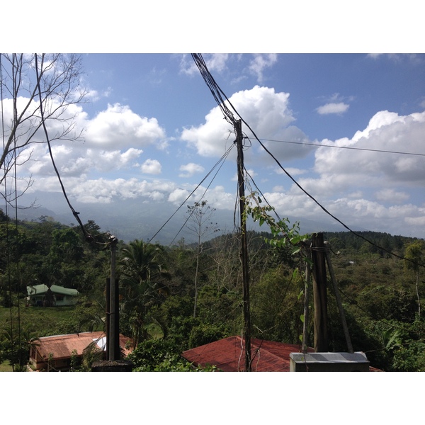 照片 哥斯达黎加(Costa Rica) 图里亚尔瓦(Turrialba) 2015-03 61