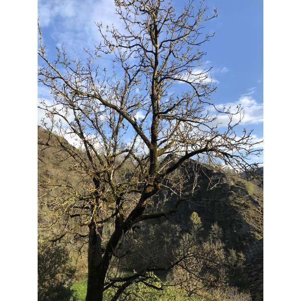 照片 法国(France) 孔克(Conques) 2018-04 98