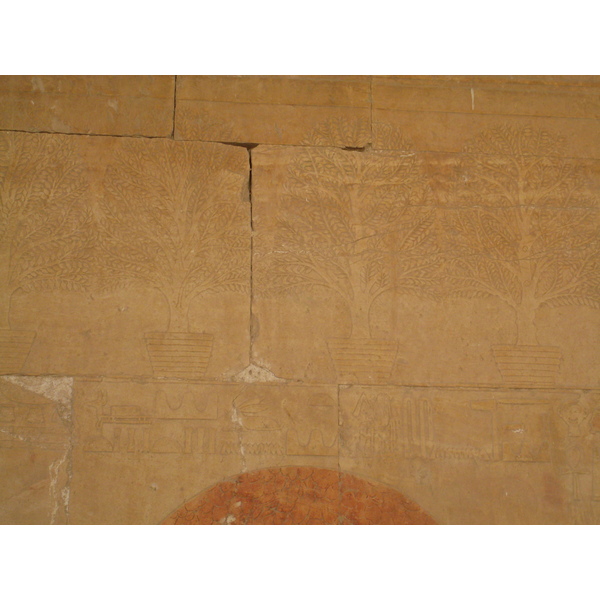 照片 埃及(Egypt) 卢克索(Luxor) 2007-04 67