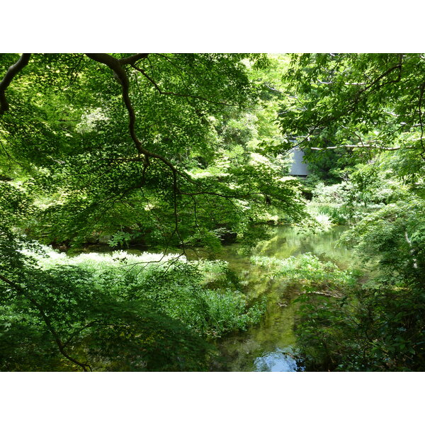 照片 日本(Japan) 京都(Kyoto) 八濑比叡山口站(Yase Hieizanguchi Station) 2010-06 16