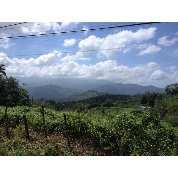 照片 哥斯达黎加(Costa Rica) 图里亚尔瓦(Turrialba) 2015-03 29