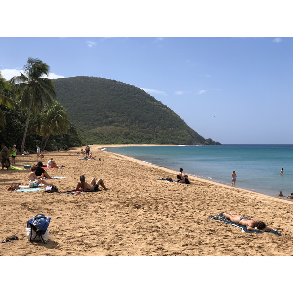 照片 瓜德罗普(Guadeloupe) 大湾海滩(Grande Hanse Beach) 2021-02 19