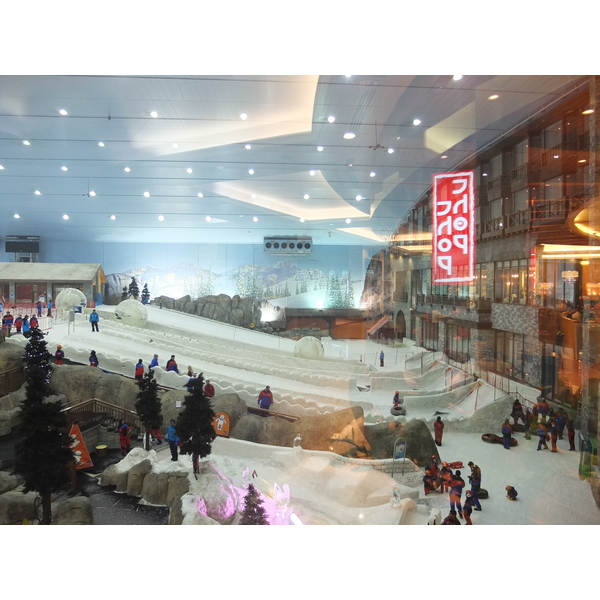 照片 阿联酋(United Arab Emirates) 迪拜(Dubai) 迪拜室内滑雪场(Ski Dubai) 2011-12 4