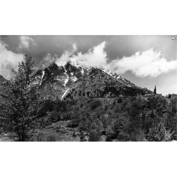 照片 法国(France) 科西嘉岛(Corsica) 老明信片(Old Postcards) 1900-01 263