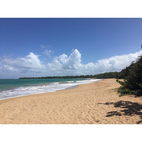照片 瓜德罗普(Guadeloupe) 德艾(Deshaies) 2021-02 5