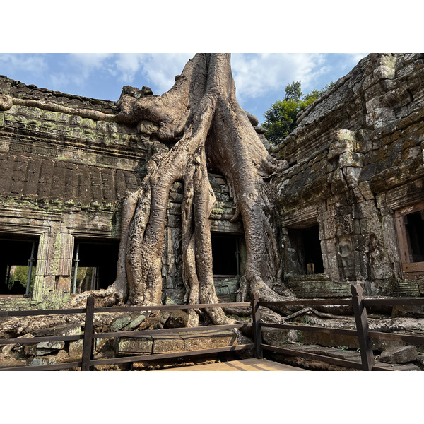 照片 柬埔寨(Cambodia) 暹粒(Siem Reap) 塔布茏寺(Ta Prohm) 2023-01 89