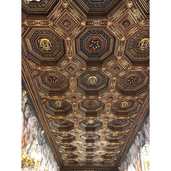 照片 法国(France) 枫丹白露(Fontainebleau) 2019-04 97