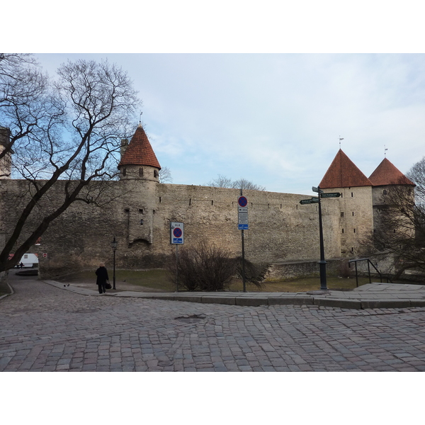 照片 爱沙尼亚(Estonia) 塔林(Tallinn) 塔林老城(Old Tallinn) 2009-04 12