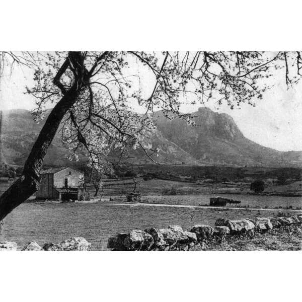 照片 法国(France) 科西嘉岛(Corsica) 老明信片(Old Postcards) 1900-01 176