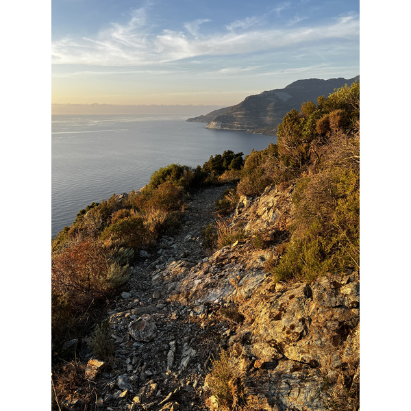 照片 法国(France) 科西嘉岛(Corsica) 农扎(Nonza) 2023-10 31