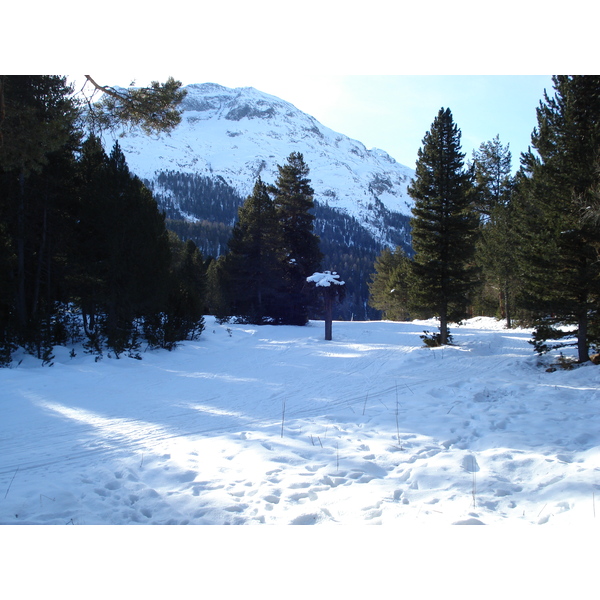 照片 瑞士(Switzerland) 圣莫里茨施拉里尼亚(St Moritz Schlarigna) 2007-01 89