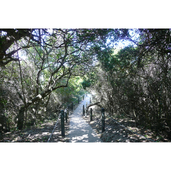 照片 南非(South Africa) 自然谷(Nature's Valley) 2008-09 57