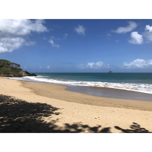 照片 瓜德罗普(Guadeloupe) 珍珠海滩(La Perle Beach) 2021-02 97