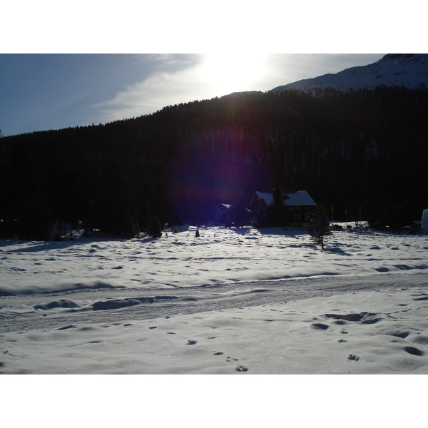 照片 瑞士(Switzerland) 圣莫里茨施拉里尼亚(St Moritz Schlarigna) 2007-01 63