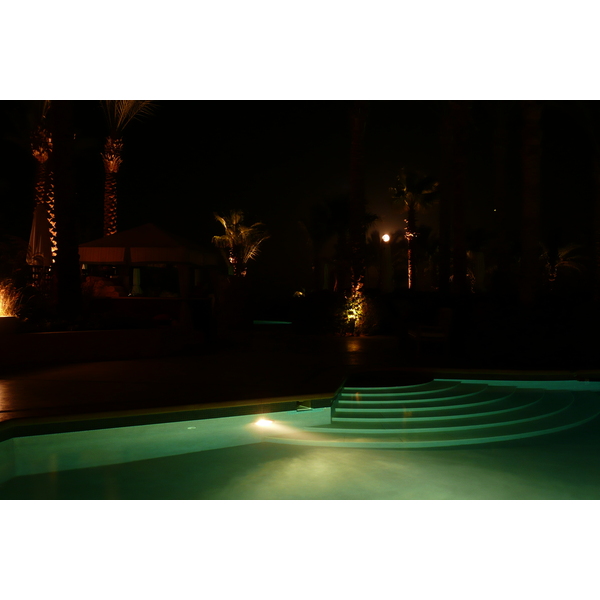 照片 埃及(Egypt) 沙姆沙伊赫(Sharm el Sheikh) 四季酒店(Four Seasons Hotel) 四季酒店绿洲泳池(Four Seasons Al Waha Pool) 2008-06 27