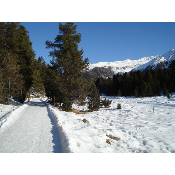 照片 瑞士(Switzerland) 圣莫里茨施拉里尼亚(St Moritz Schlarigna) 2007-01 26
