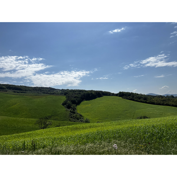 照片 意大利(Italy) 沃尔泰拉(Volterra) 2022-05 35