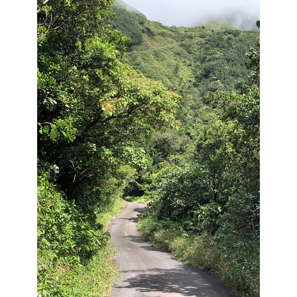 照片 瓜德罗普(Guadeloupe) 大苏弗里耶尔火山(La Grande Soufriere) 2021-02 59