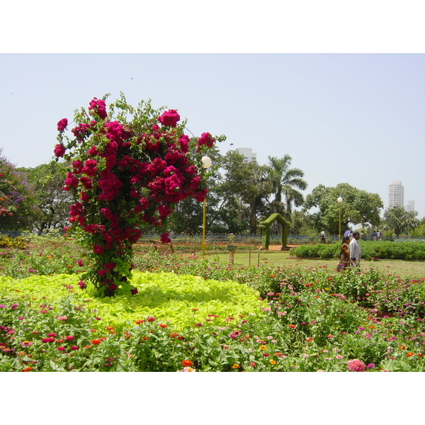 照片 印度(India) 孟买(Mumbai) 2003-05 62