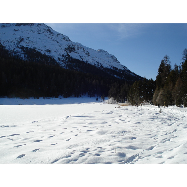 照片 瑞士(Switzerland) 圣莫里茨施拉里尼亚(St Moritz Schlarigna) 2007-01 8