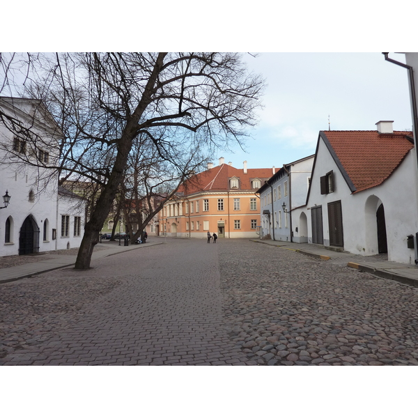 照片 爱沙尼亚(Estonia) 塔林(Tallinn) 塔林老城(Old Tallinn) 2009-04 13
