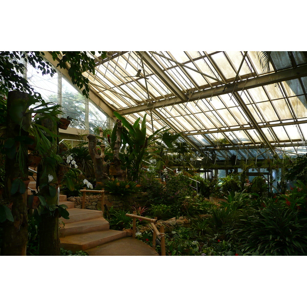 照片 法国(France) 尼斯(Nice) 凤凰公园(Phoenix Parc) 2007-10 32