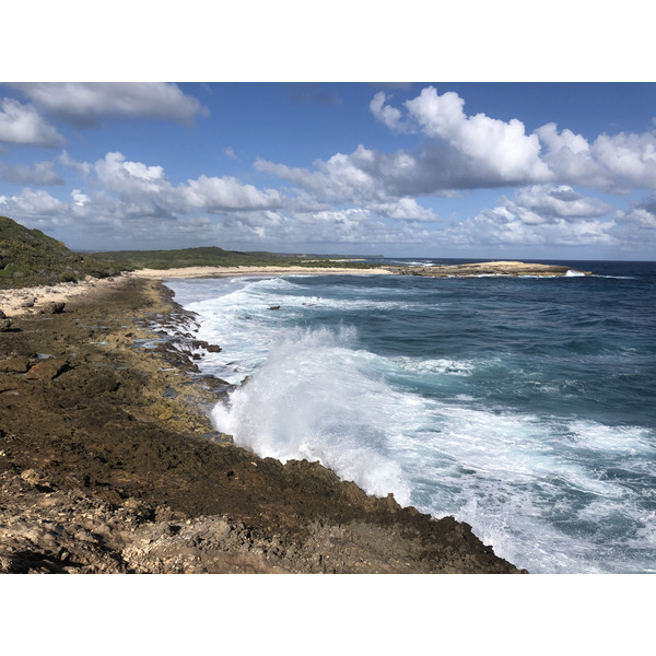 照片 瓜德罗普(Guadeloupe) 城堡角(Castle Point) 2021-02 32