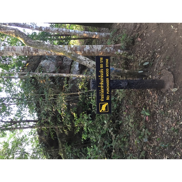 照片 泰国(Thailand) 普欣隆卡国家公园(Phu Hin Rong Kla National Park) 2014-12 422