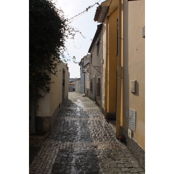 照片 葡萄牙(Portugal) 里斯本(Lisbon) 2013-01 339