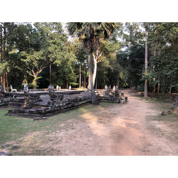 照片 柬埔寨(Cambodia) 暹粒(Siem Reap) 斑黛喀蒂寺(Banteay Kdei) 2023-01 23