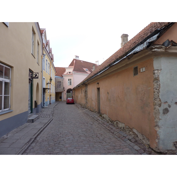 照片 爱沙尼亚(Estonia) 塔林(Tallinn) 塔林老城(Old Tallinn) 2009-04 59