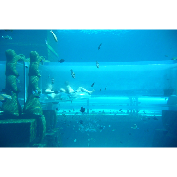 照片 阿联酋(United Arab Emirates) 迪拜(Dubai) 迪拜水世界(Dubai Aquaventure) 2009-01 171