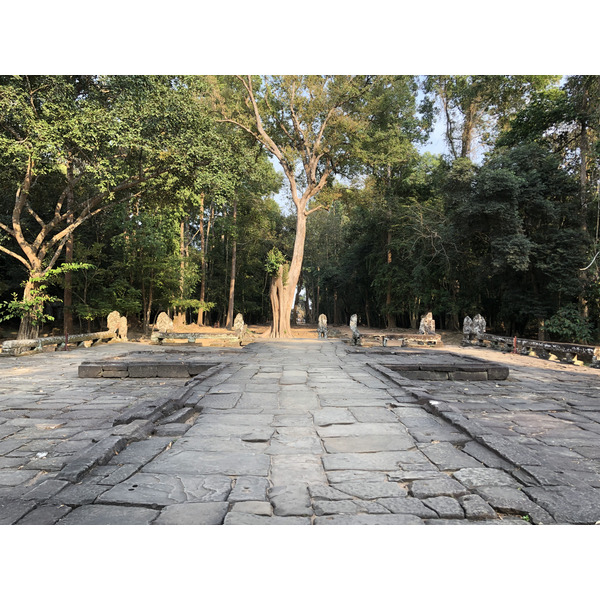 照片 柬埔寨(Cambodia) 暹粒(Siem Reap) 斑黛喀蒂寺(Banteay Kdei) 2023-01 34