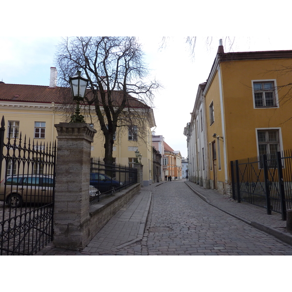 照片 爱沙尼亚(Estonia) 塔林(Tallinn) 塔林老城(Old Tallinn) 2009-04 95