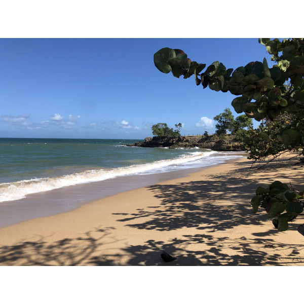 照片 瓜德罗普(Guadeloupe) 圣罗斯(Sainte Rose) 2021-02 3