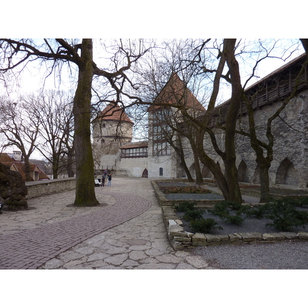 照片 爱沙尼亚(Estonia) 塔林(Tallinn) 塔林老城(Old Tallinn) 2009-04 2