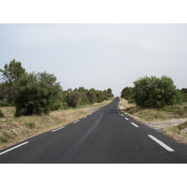 照片 法国(France) 索米耶尔(Sommieres) 2006-06 87