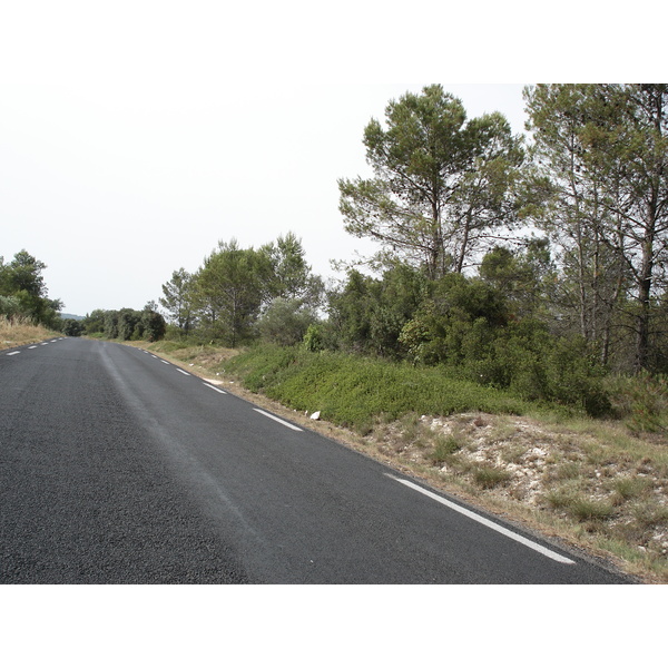 照片 法国(France) 索米耶尔(Sommieres) 2006-06 86