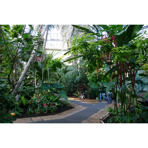 照片 法国(France) 尼斯(Nice) 凤凰公园(Phoenix Parc) 2007-10 105